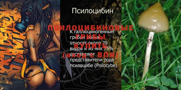 герыч Заводоуковск