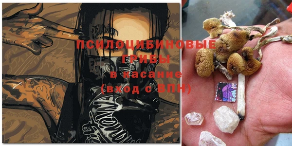 герыч Заводоуковск
